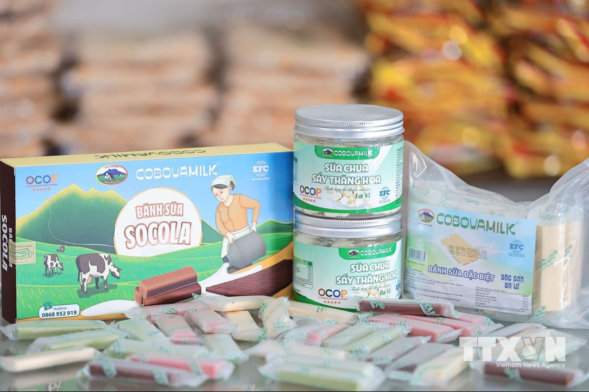 COBOVAMILK hiện phát triển 27 sản phẩm từ sữa như: bánh sữa, sữa chua, sữa tươi thanh trùng, caramen…, trong đó có 5 sản phẩm đạt chuẩn OCOP 5 sao. (Ảnh: Lê Đông/TTXVN)